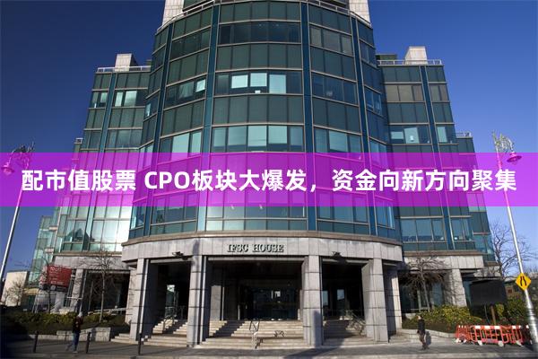 配市值股票 CPO板块大爆发，资金向新方向聚集