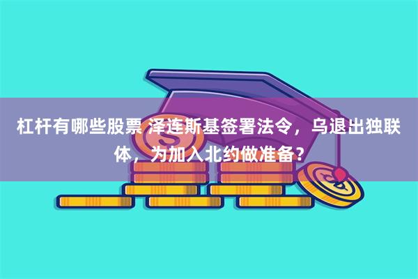 杠杆有哪些股票 泽连斯基签署法令，乌退出独联体，为加入北约做准备？