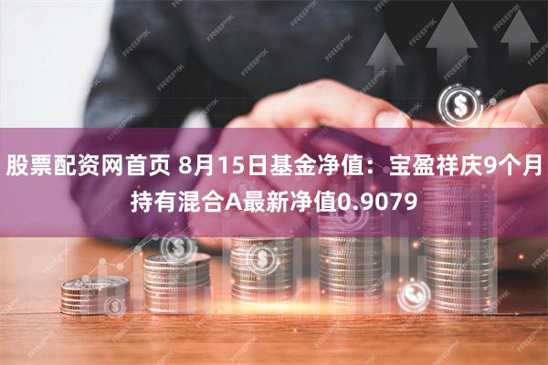 股票配资网首页 8月15日基金净值：宝盈祥庆9个月持有混合A最新净值0.9079