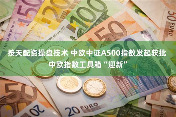 按天配资操盘技术 中欧中证A500指数发起获批 中欧指数工具箱“迎新”