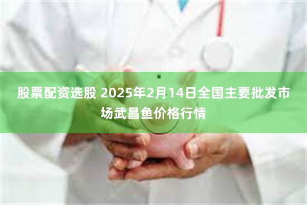 股票配资选股 2025年2月14日全国主要批发市场武昌鱼价格行情