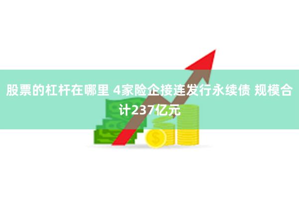 股票的杠杆在哪里 4家险企接连发行永续债 规模合计237亿元